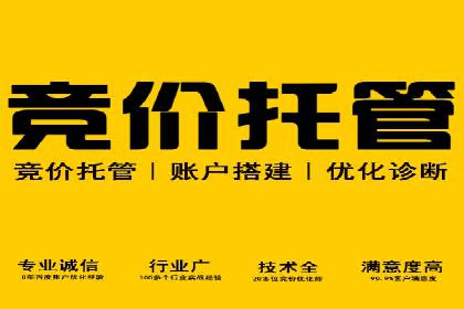 百度运营推广策略：成功案例解析